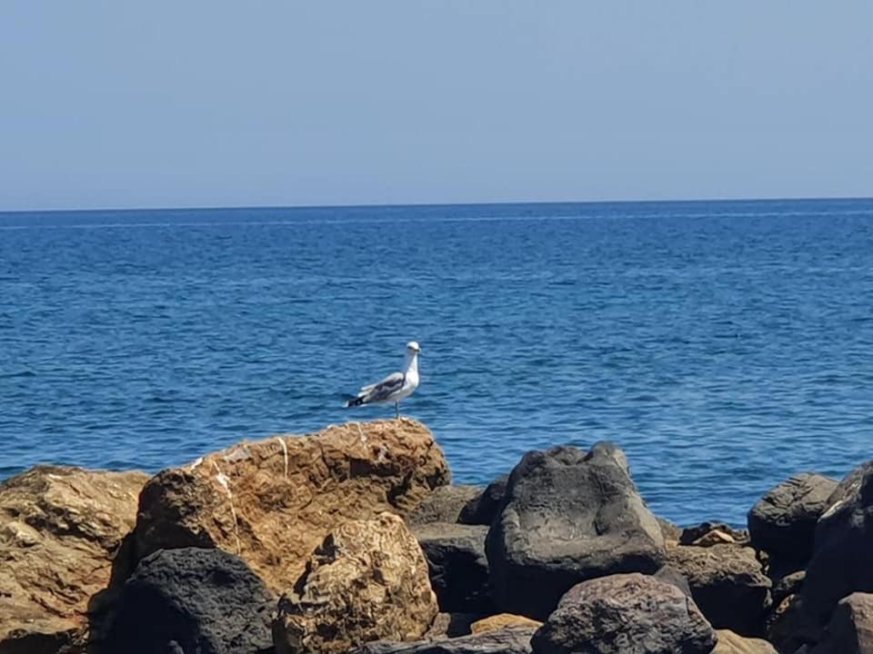 Rodothea And Adams On The Beach, Santorini Monolithos  Bagian luar foto